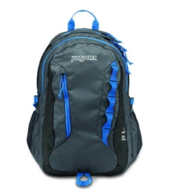 JanSport Agave Backpack -Clothing Sales Store T14F6XD